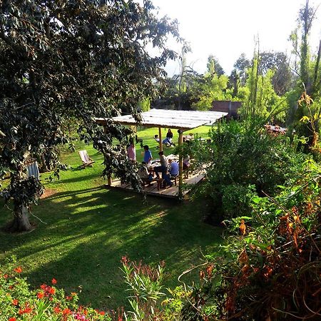 La Casa Del Tilo Bed & Breakfast Hacienda Santa Rosa Luaran gambar