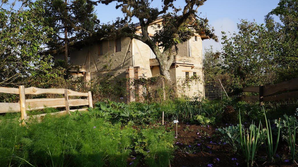 La Casa Del Tilo Bed & Breakfast Hacienda Santa Rosa Luaran gambar